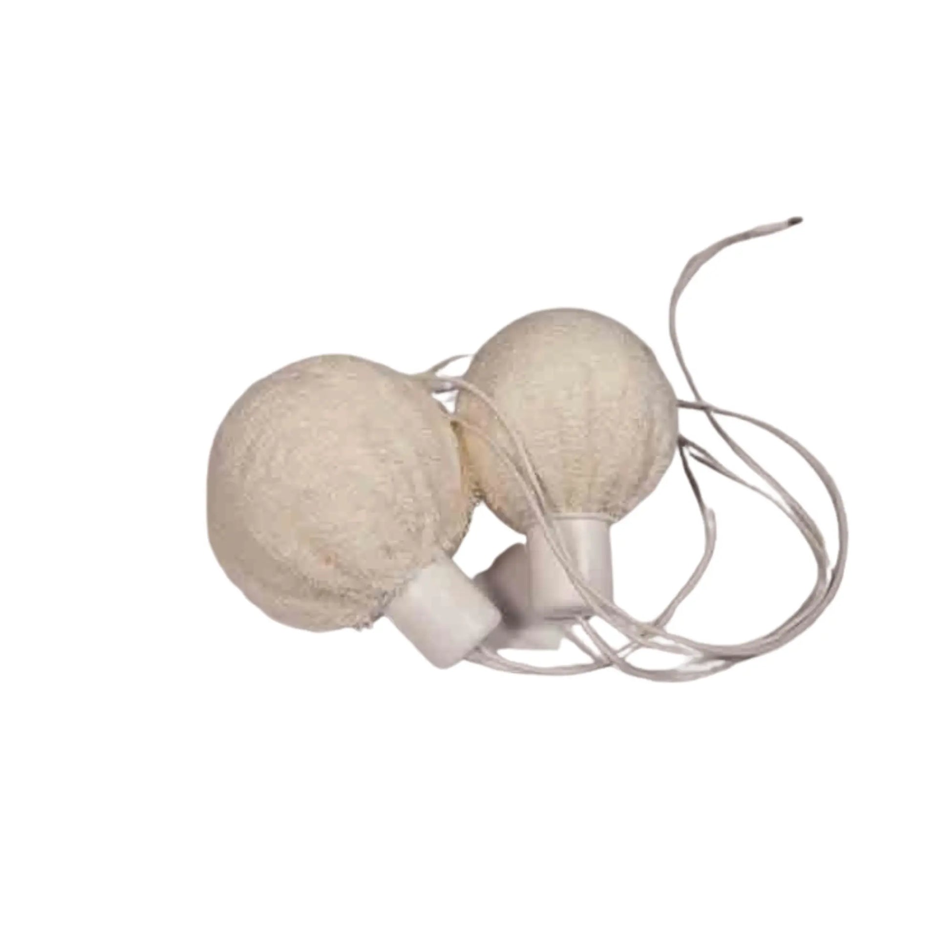 Kit de electrodos de axila compatible con dispositivos de iontoforesis I2m.A - I2M Laboratoires I2M Laboratoires 